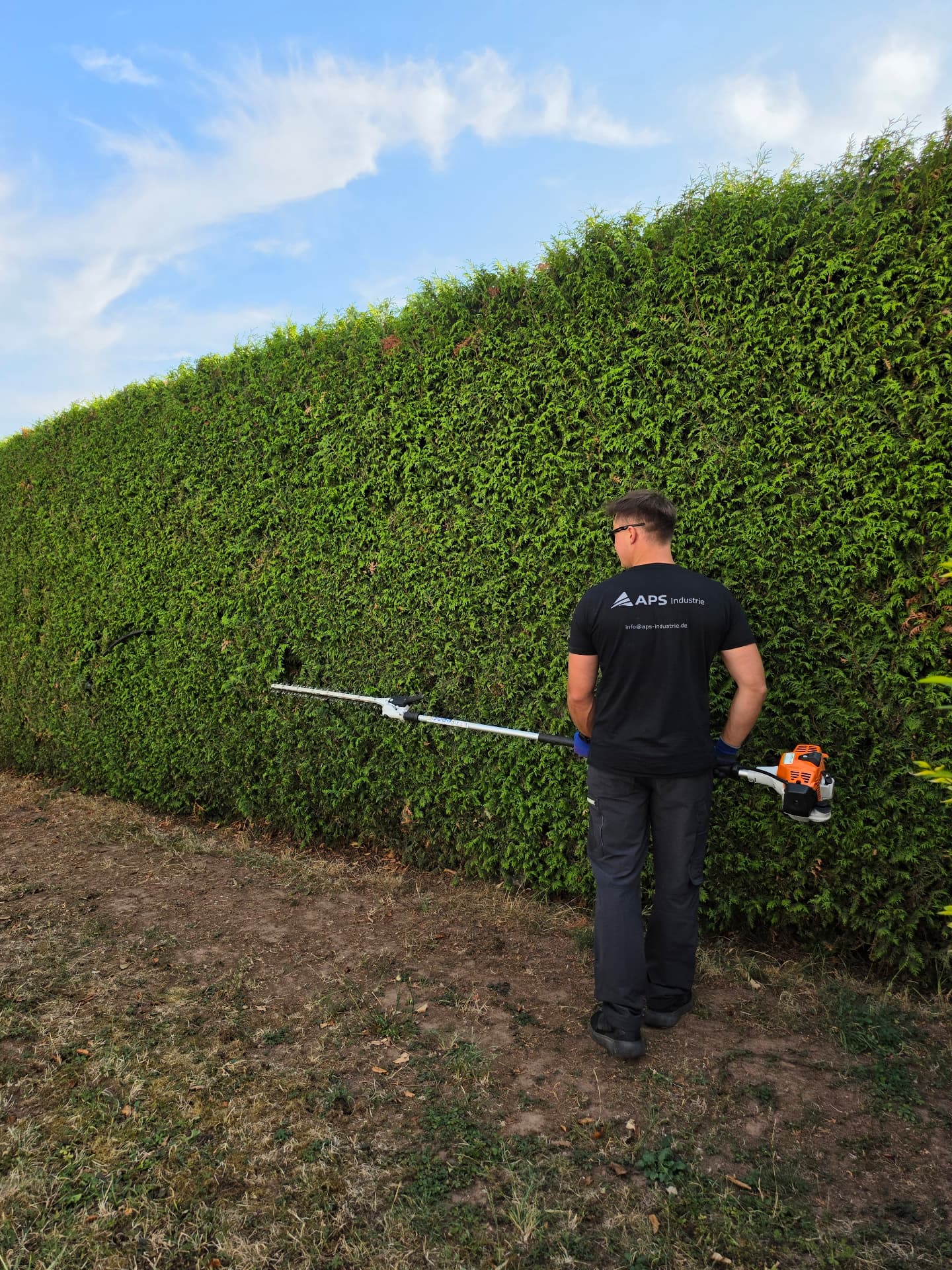 Fachgerechter Heckenschnitt durch APS Objekt- & Gartenservice